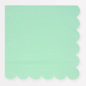 Solid Mint Lg Napkin