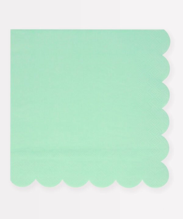 Solid Mint Lg Napkin
